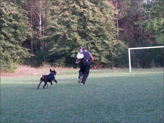 Summer training camp - Jelenec - 2007